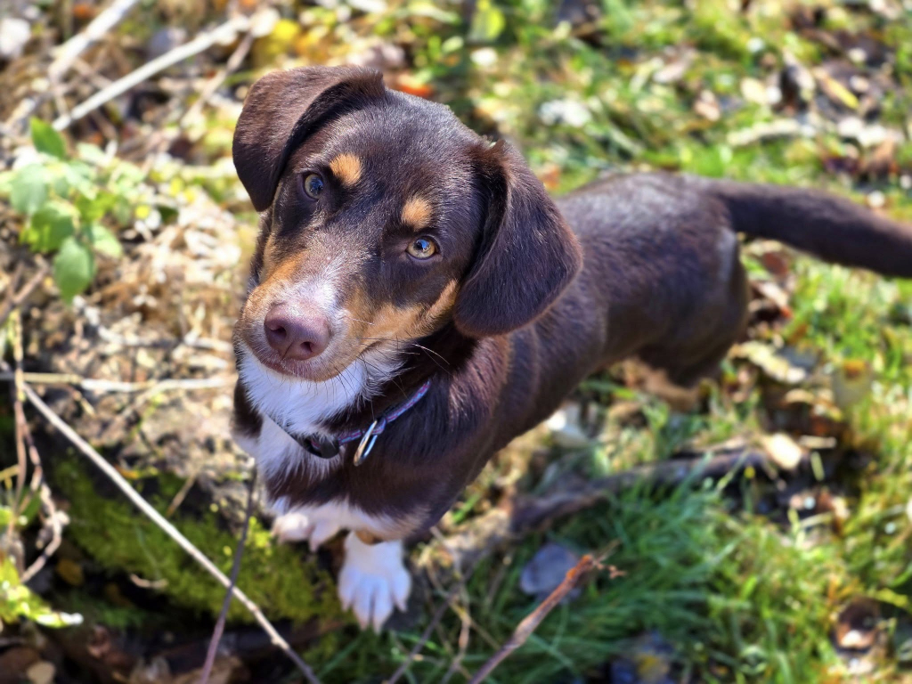 574872012_2888914634631871_2540113350386420933_n